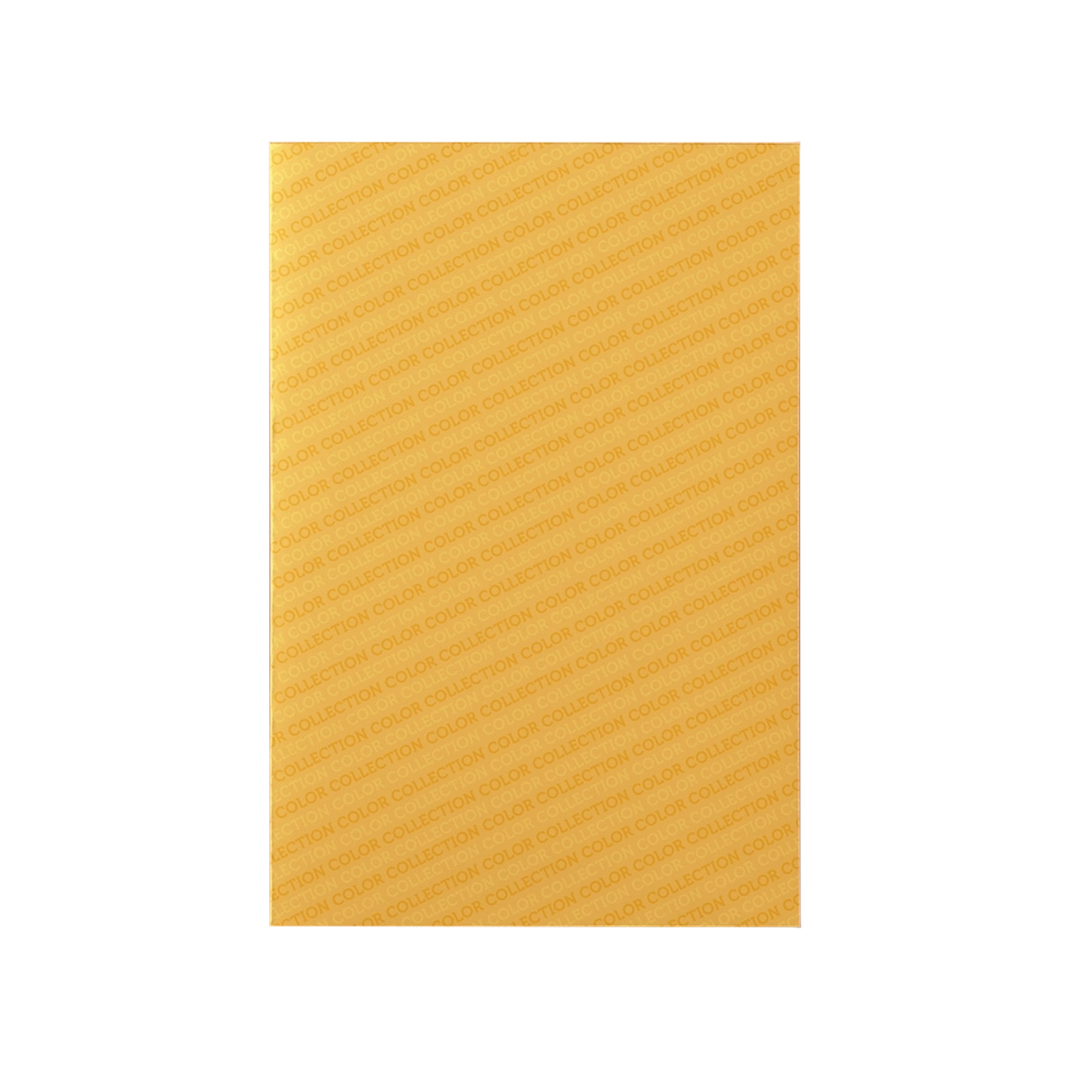 Sveska A4 SK 40 l COLOR COLLECTION