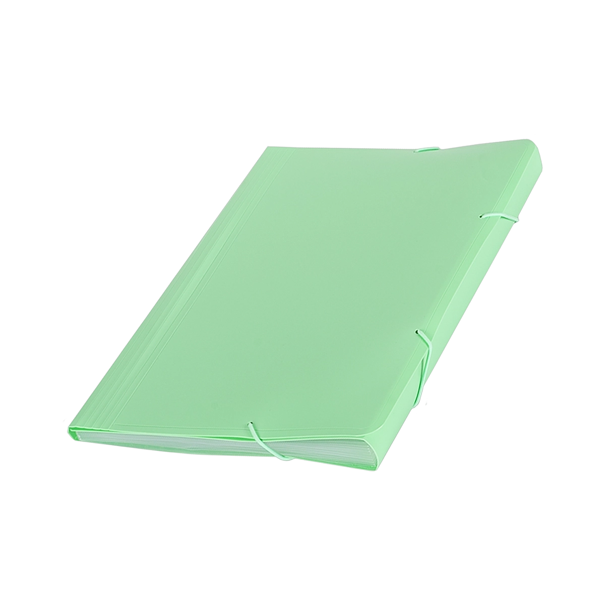 Fascikla A4 PVC sa 12 pregrada pastel