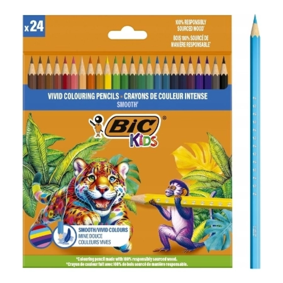 Bic drvene boje VIVID SMOOTH ECO 1/24
