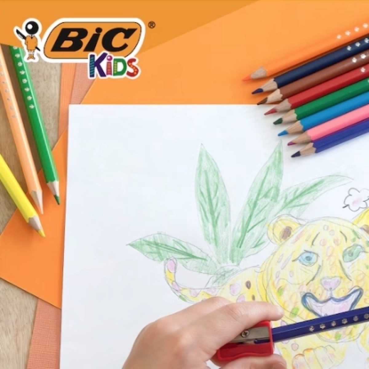 Bic drvene boje VIVID SMOOTH  ECO 1/12 