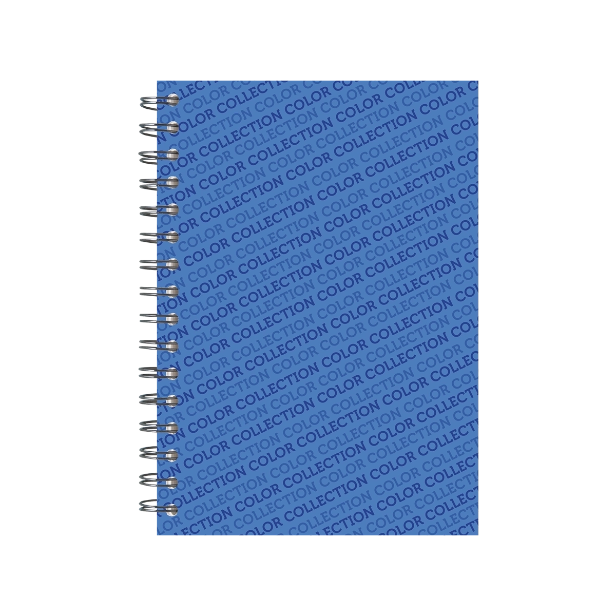 Sveska spirala A4 dikto 100 l COLOR COLLECTION